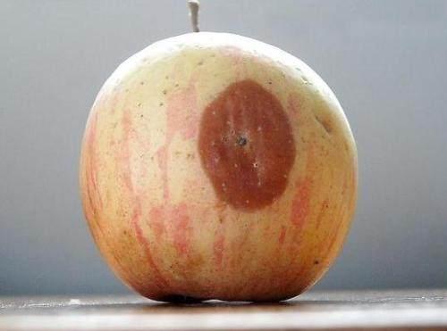 苹果早晨吃变成毒苹果4个误区营养师告诉你答案