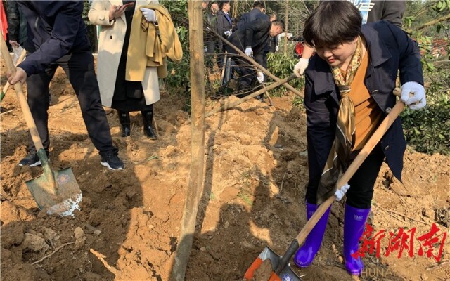 常德市委常委,市纪委书记罗翠林在植树.