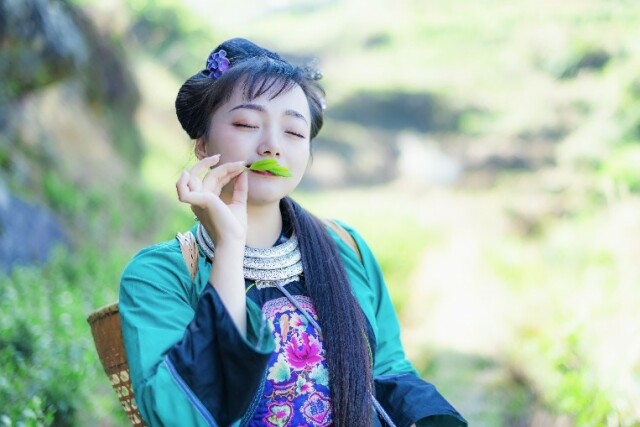 湘西的百灵鸟苗翠翠