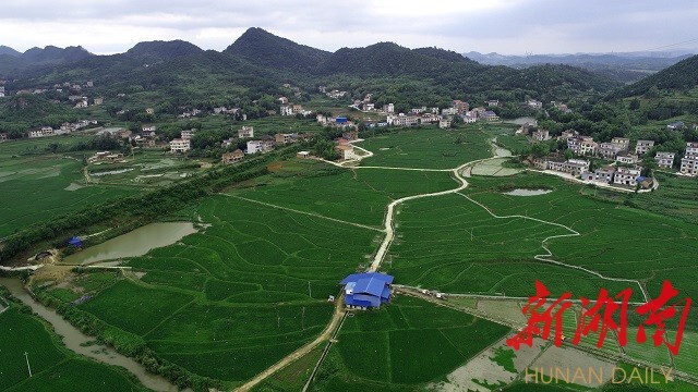 6月13日,涟源市渡头塘镇镇企联建项目洪家村平康种植养殖基地.