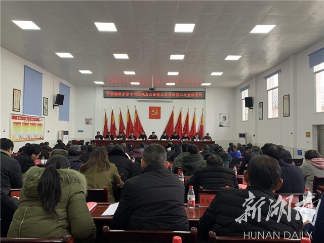 韶山市杨林乡召开第十四届党代会第五次会议