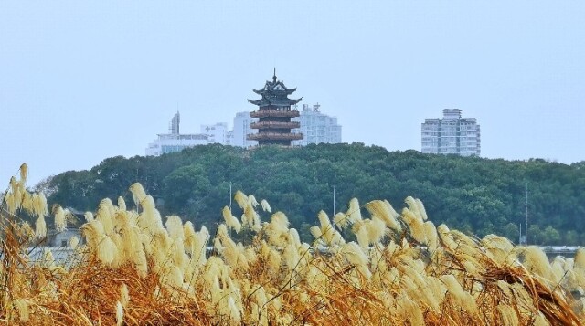 远眺石峰公园