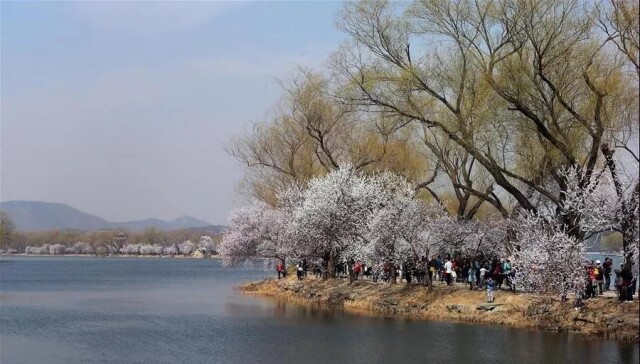 遊客在北京頤和園遊覽 新華社記者張傳奇/攝