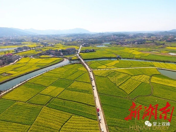 锁石镇位于双峰县南部,境内有车田油菜花基地,金紫峰宝觉寺,黄龙大山