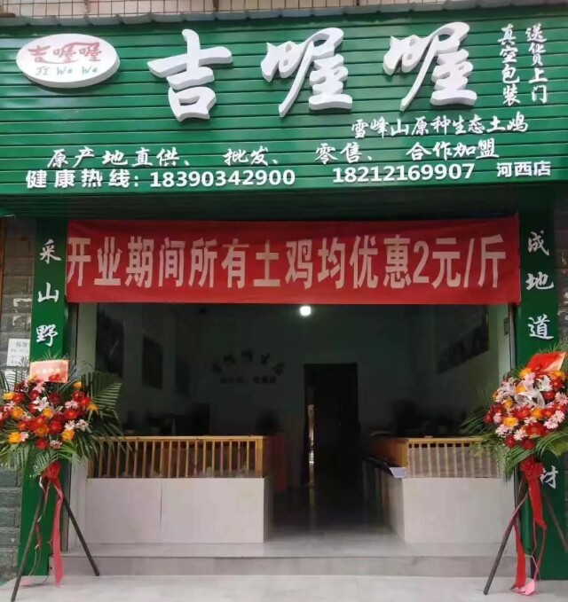 养殖鸡加盟(加盟养鸡利润怎么样)