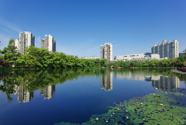滨湖公园是常德市第一座以山水格局为特色,集休闲,游憩,生态改善及
