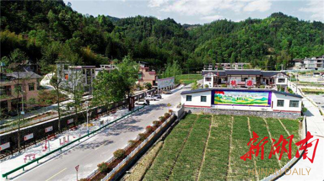 精打细算桃源发展大账本——龙山县石牌镇桃源村第一书记李世选的扶贫