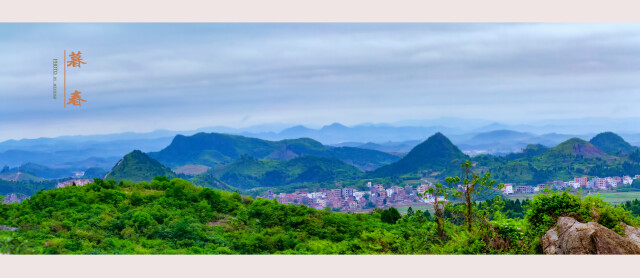 新田县桑田村郁郁葱茏.曾颖炜 摄