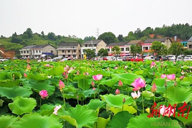 石鼓区灵官庙村:"土农村"蜕变省级"美丽乡村"