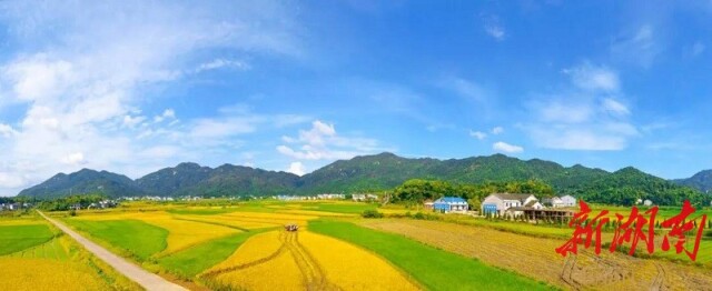 辉煌"十三五"之三:绿野平畴格局新