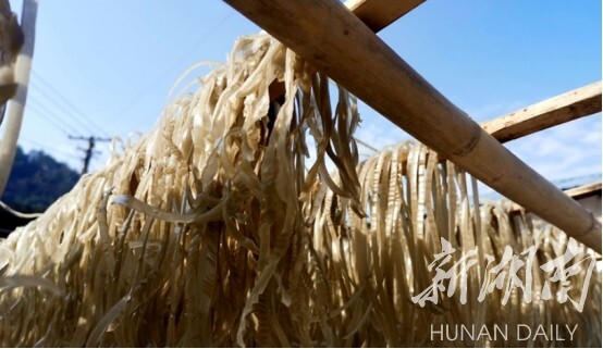 湘乡市壶天镇南岳坪村：传统红薯粉 铺出致富路