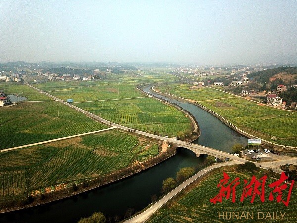 双峰县锁石镇:春天有约 来赏万亩油菜花