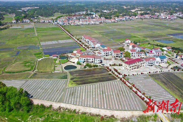 岳阳县公田镇:紧抓春耕生产 助推乡村振兴