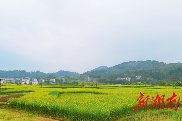 绿水青山带笑颜——麻溪铺镇人居环境整治措施再升级