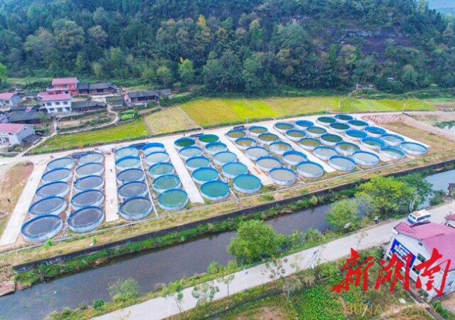 肖家桥乡大坪村生态流水养殖基地