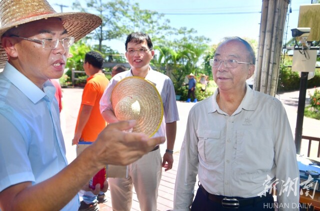 5月9日，湖南省杂交水稻研究中心海南省三亚市海棠湾基地，中国科学院院士、福建省农业科学院研究员谢华安(右)在现场听取技术人员的测产情况介绍。