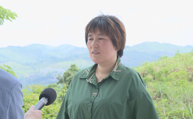 逆风飞扬(二)杨桂梅:傲梅立枝头 迎风自飘香