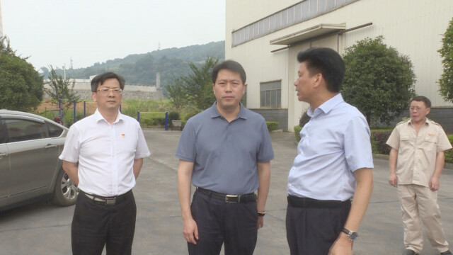 肖元意督查企业安全生产和学生防溺水工作