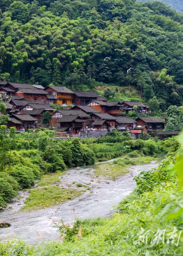 山清水秀 绿意苗寨 - 新湖南