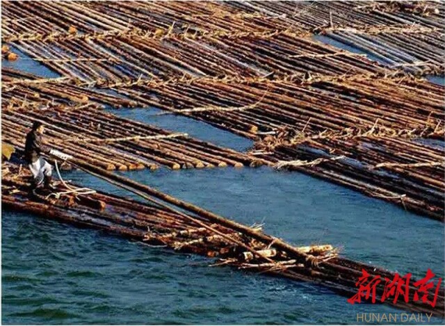 每日只等船驳,排筏驶进古镇的船坞与排湾,雇用篙手与排工,聘请舵手和