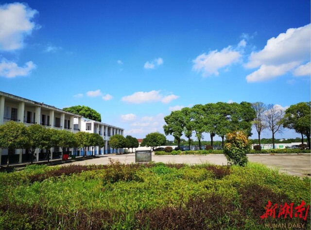 身披"袈裟",满面沧桑,黄甲中学有"四盼"