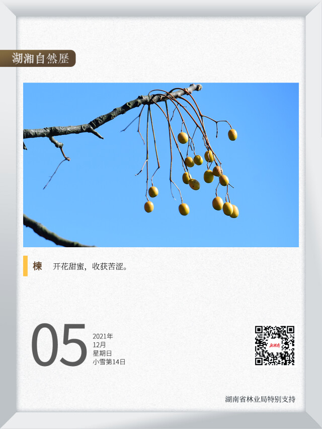 湖湘自然历丨一场 苦恋 一言不合就中毒的那种 新湖南