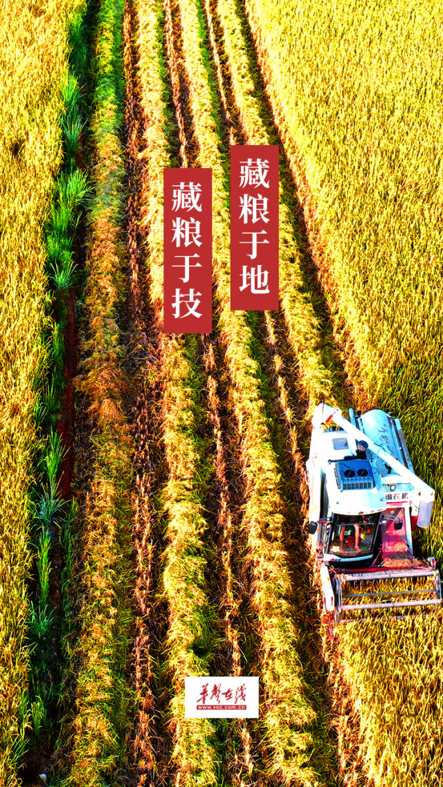 海报严守耕地保护红线保障国家粮食安全