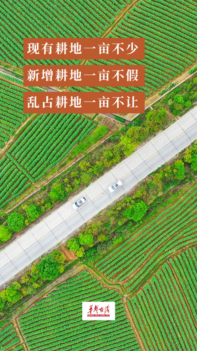 海报|严守耕地保护红线,保障国家粮食安全