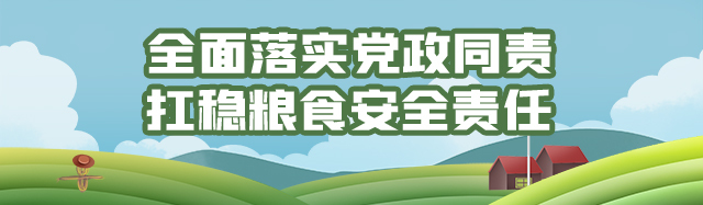 ���������ʳ��ȫ���� �����ƽ����ȫ������