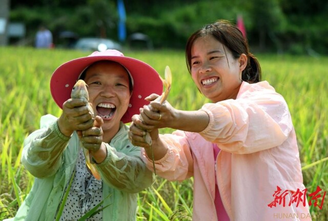 ���������ʳ��ȫ���� �����ƽ����ȫ������