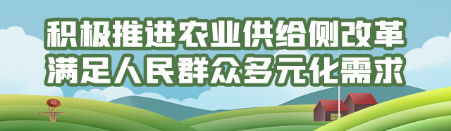 ���������ʳ��ȫ���� �����ƽ����ȫ������