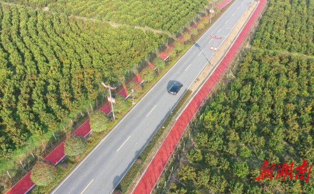 ���������ʳ��ȫ���� �����ƽ����ȫ������