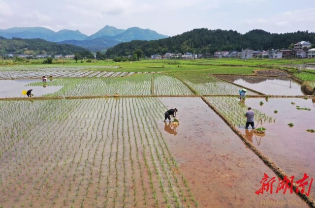 ���������ʳ��ȫ���� �����ƽ����ȫ������