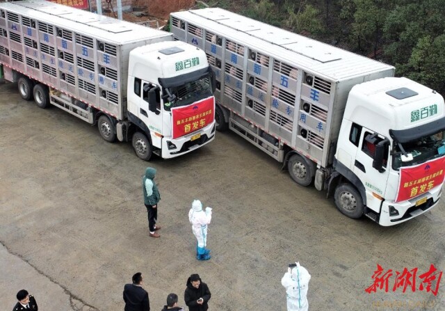 ���������ʳ��ȫ���� �����ƽ����ȫ������