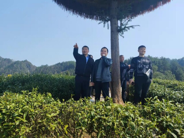 科技特派员服务团再临榔木村指导调研