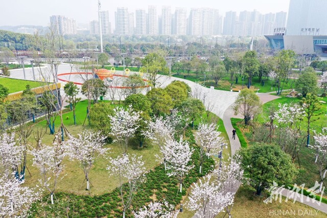 马栏山公园春色美