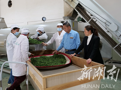 桑植县:专家服务团为民办实事助力乡村振兴