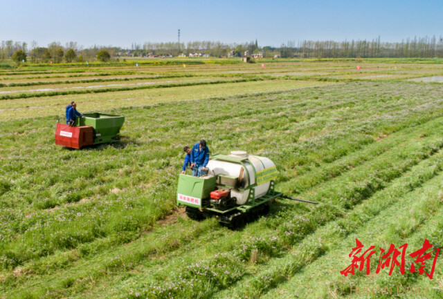 全程机械助力,主推粪肥还田!华容竖起绿色种养循环农业“新标杆”