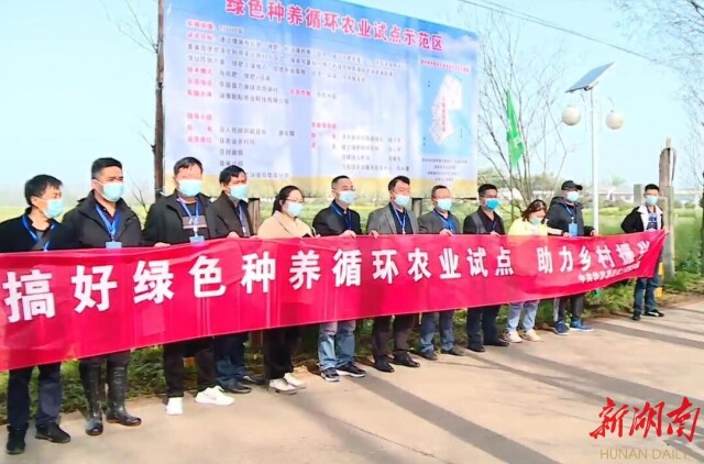 全程机械助力,主推粪肥还田!华容竖起绿色种养循环农业“新标杆”