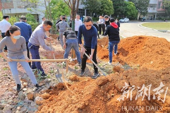 长沙南方职业学院开展义务植树活动
