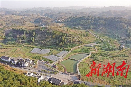 ǰ㼣ح壺