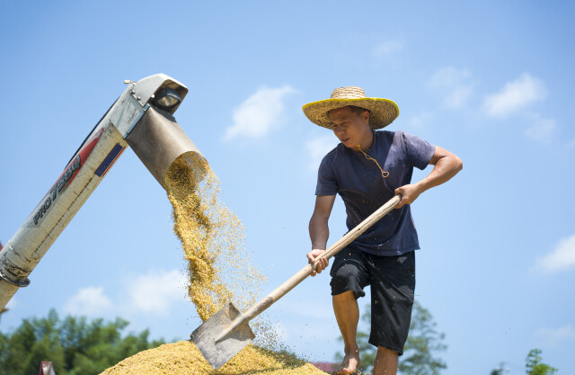 建设高标准农田 筑牢粮食安全之基