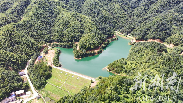 乡村振兴 | 栗山镇荆泉村：荷花绽放惹人醉 农旅融合引客来