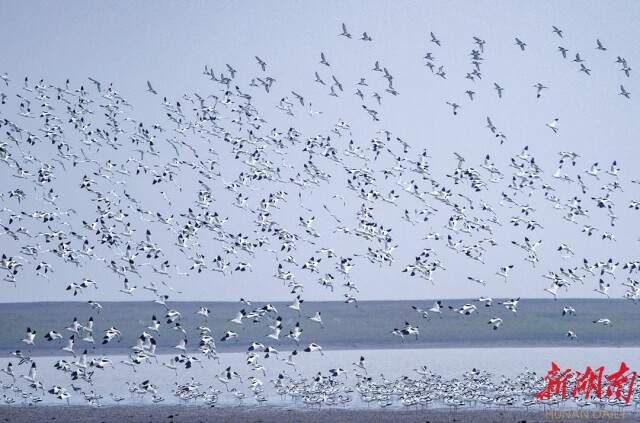 奋进新征程 建功新时代·非凡十年丨一江碧水向东流
