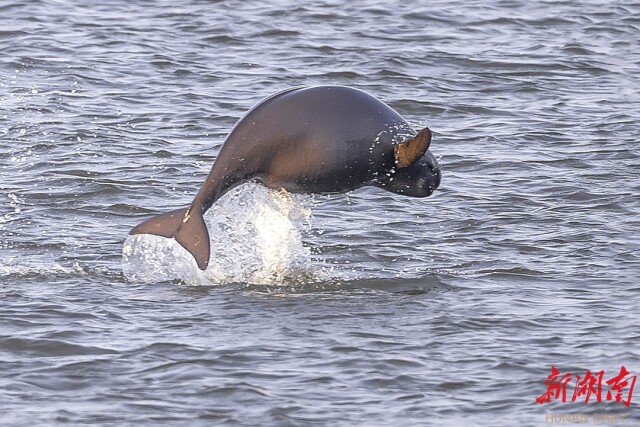 奋进新征程 建功新时代·非凡十年丨一江碧水向东流
