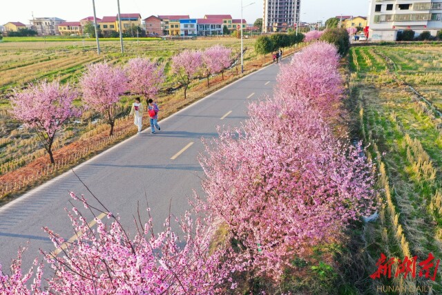 领航中国·湖南篇丨在衡阳，看见幸福乡村的模样