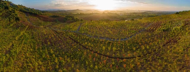 生态治理“褪伤疤” 披绿生金展新颜