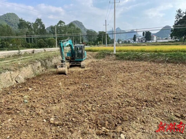 湖南宁远：复耕见成效，粮田还复来