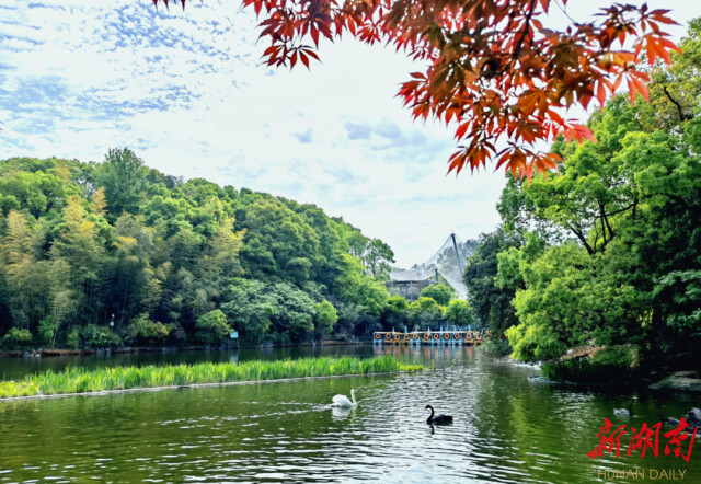 文旅融合增底蕴   以&ldquo;媒&rdquo;为介引流量  &mdash;&mdash;长沙市天心区文旅产业发展侧记