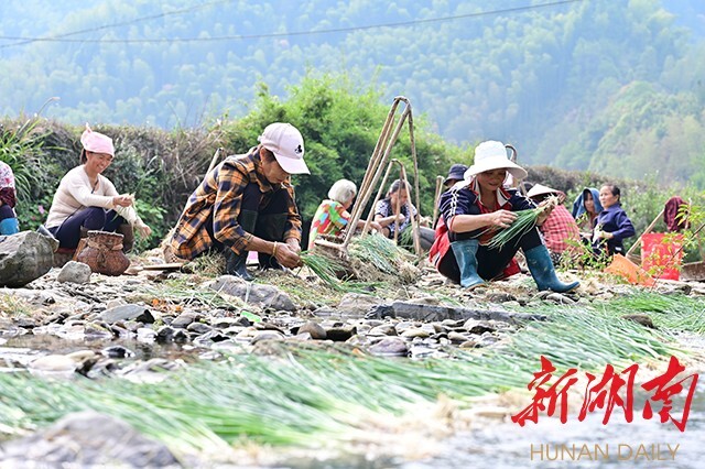 会同：统战小组长，作用可不小